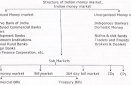 Structure of Indian Money Market | Mumbai University 2021-22