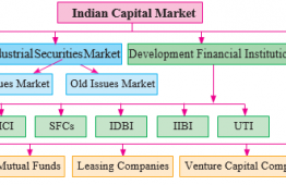 Structure of Capital Market in India: Capital Market Reform in India | Mumbai University 2021-22
