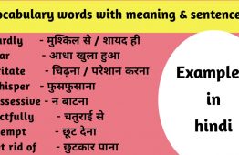 Daily use Vocabulary Words with Meaning and Sentences: Basic English 2021