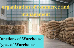 Functions and Types of Warehousing | Class 12