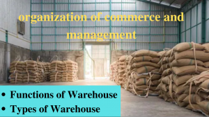 functions and types of warehousing