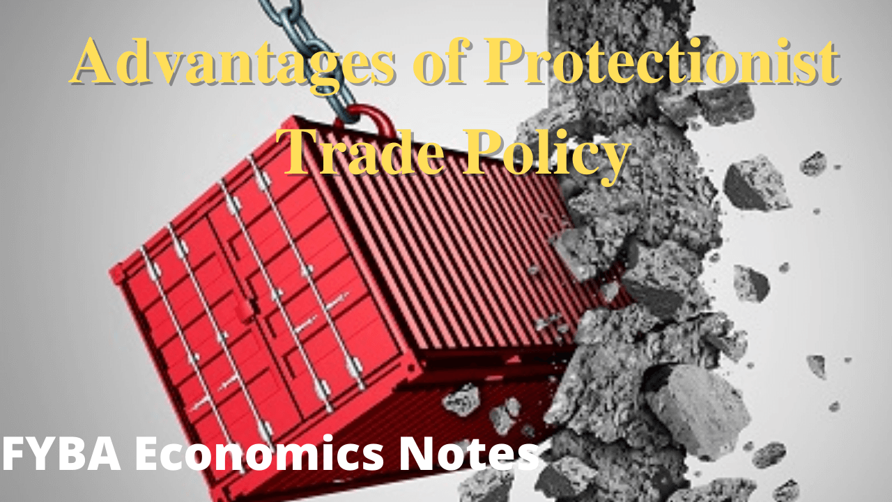 Explain the arguments made in favor protectionist trade policy | FYBA Economics Notes 2022