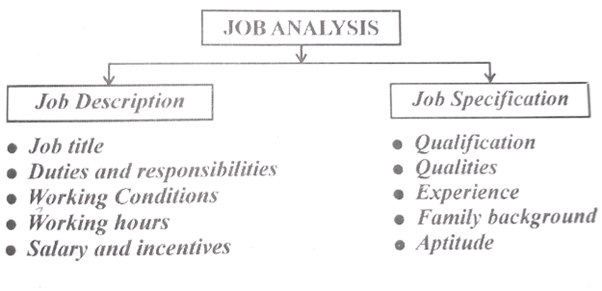 Job Analysis and its components